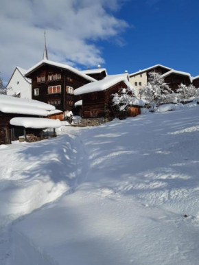 Wohnung mit schöner Sicht auf Bergpanorama und übers Tal